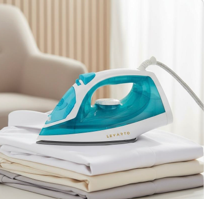 Steam Iron